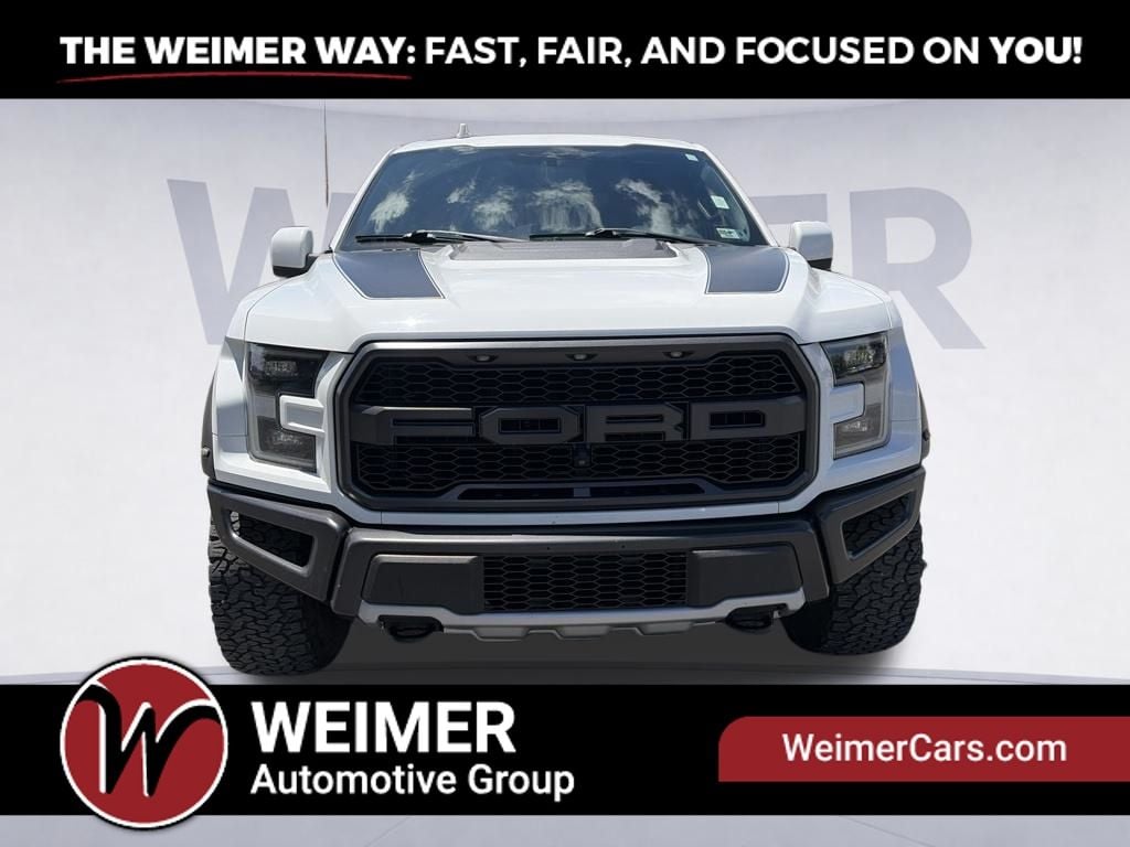 2019 Ford F-150 Raptor Photo in North Moorefield, WV 26836
